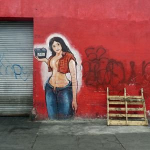 Woman On A Wall.jpg - Miscellaneous