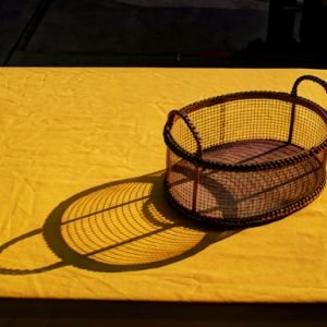 Shadow Basket in MacArthrur Park.jpg - Miscellaneous