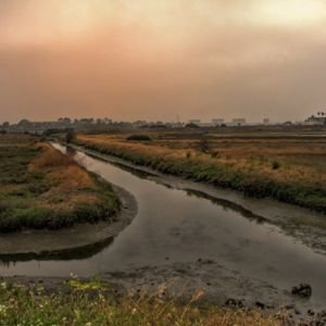 Ballona Creek (2009) .jpg - Miscellaneous