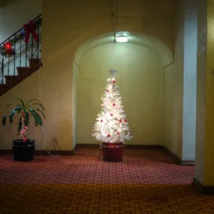 Christmas Tree In East Hollywood - Downtown Los Angeles